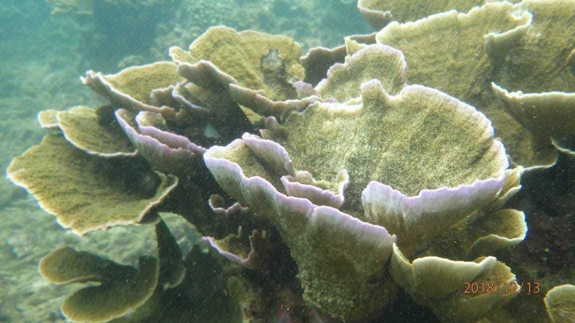 Secret Island Hopping Tour Ciletuh