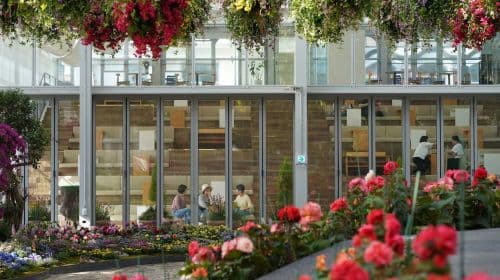 Gapyeong Begonia Bird Park