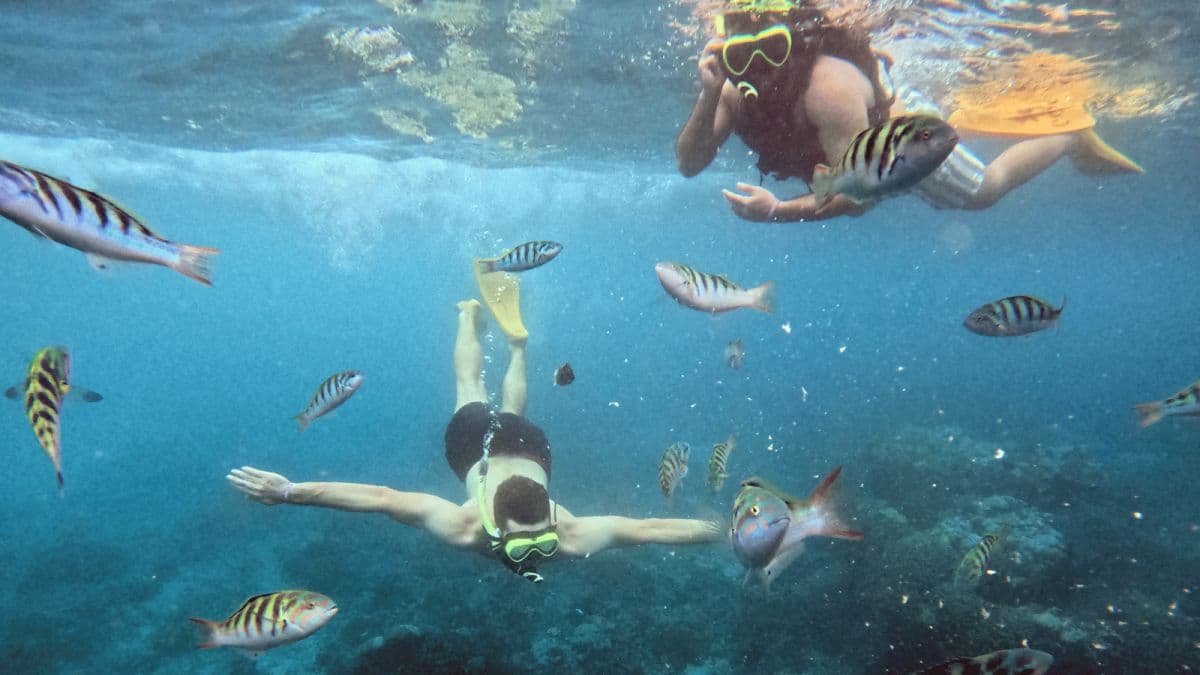 Snorkeling Tour in Nusa Penida (3 - 4 Snorkeling Spots)