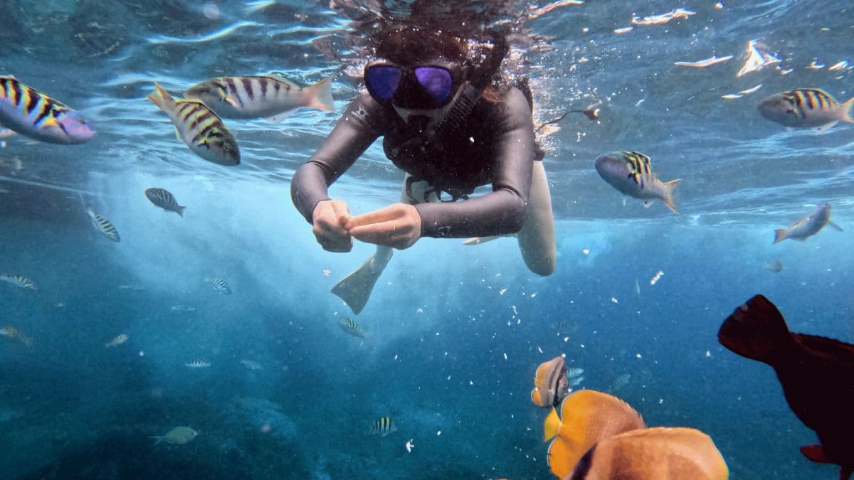 Snorkeling Tour in Nusa Penida (3 - 4 Snorkeling Spots)