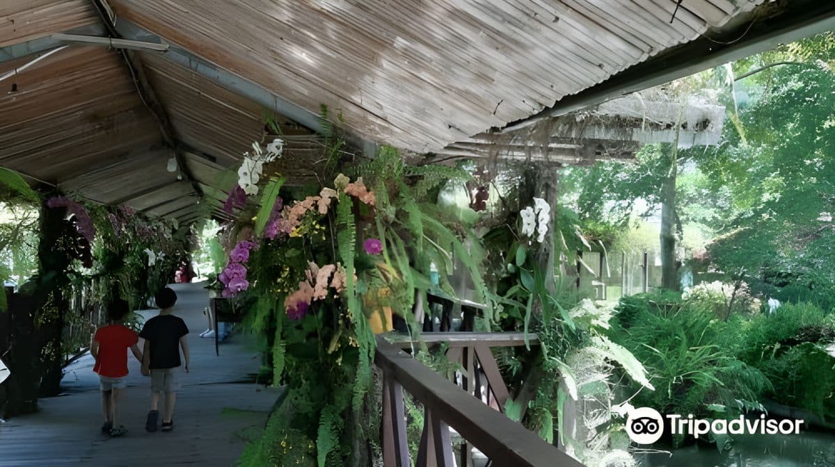 Tai Yi Ecological Leisure Farm