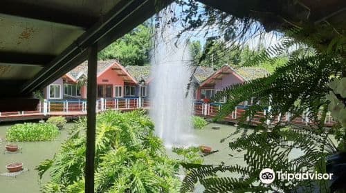 Tai Yi Ecological Leisure Farm