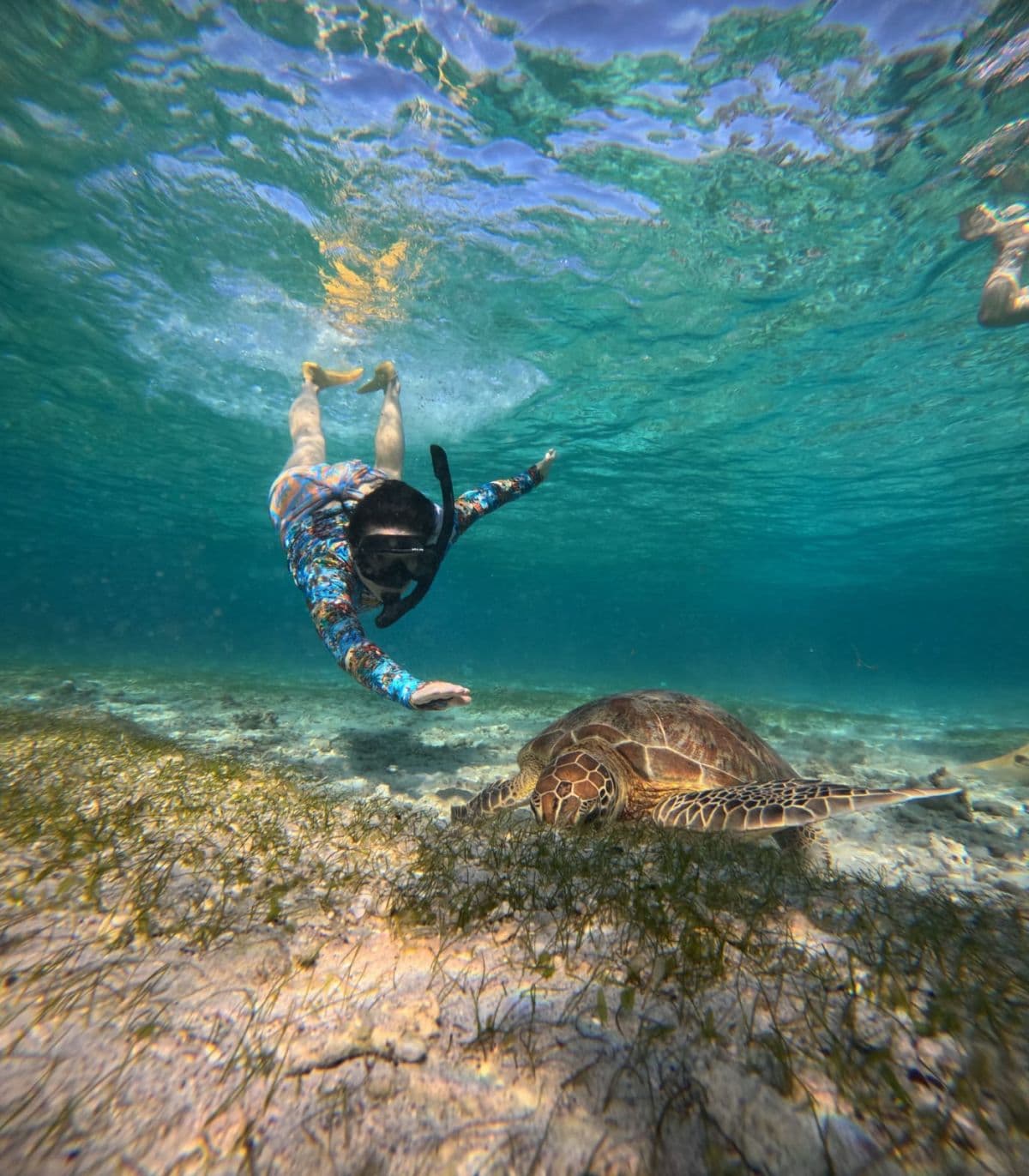 Tour di snorkeling nell'isola di Gili Air, Lombok