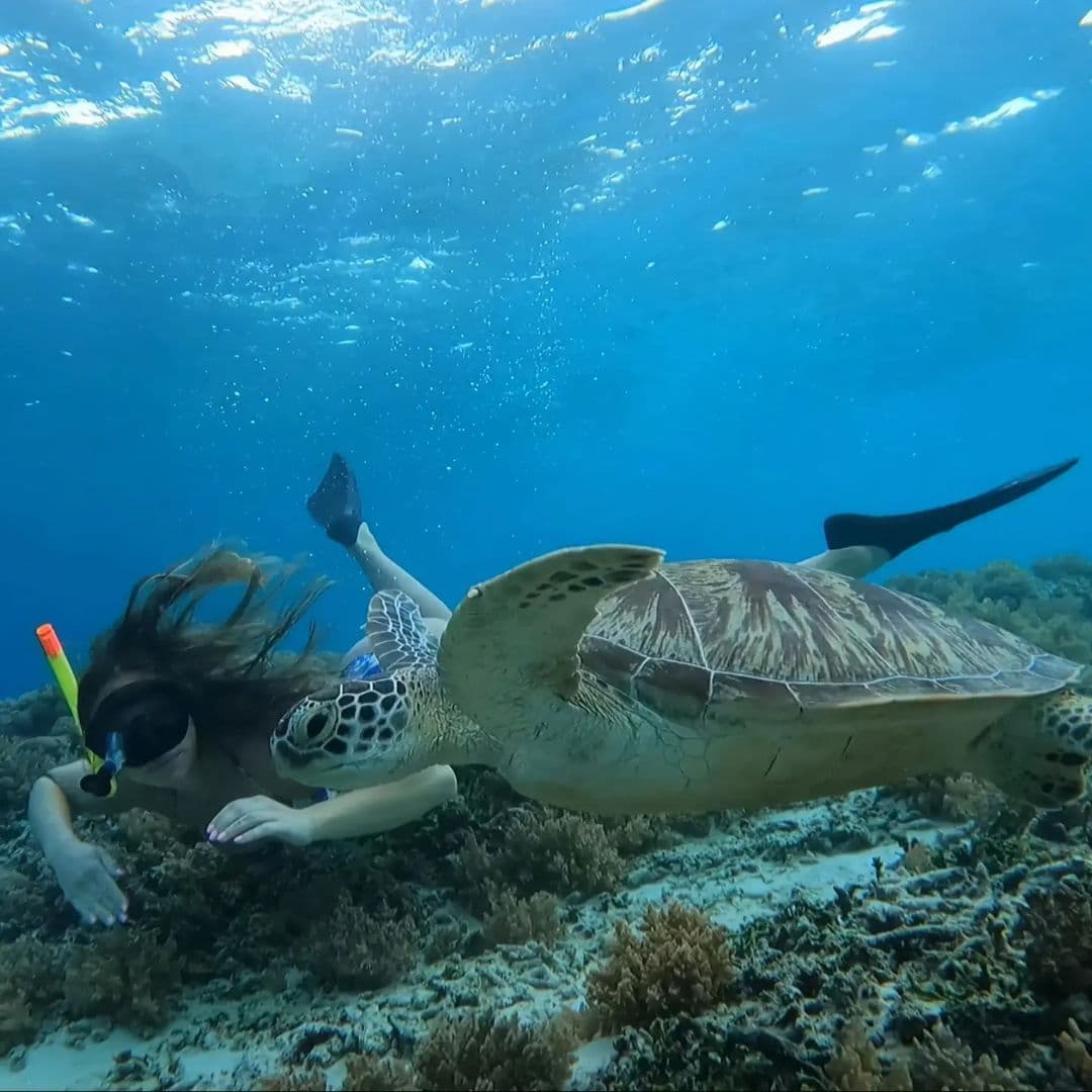 Tour di snorkeling nell'isola di Gili Air, Lombok