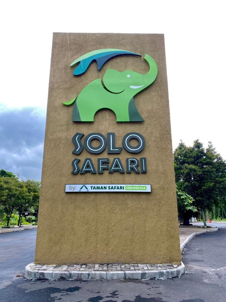 Solo Safari