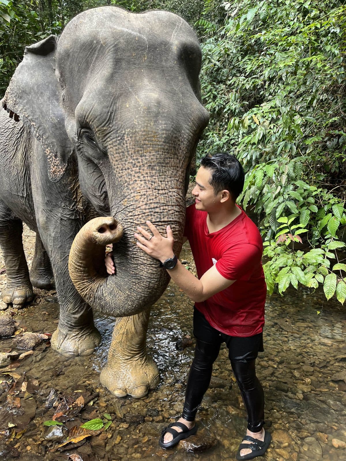 Tangkahan-Bukit Lawang 4D3N Exclusive Private Trip