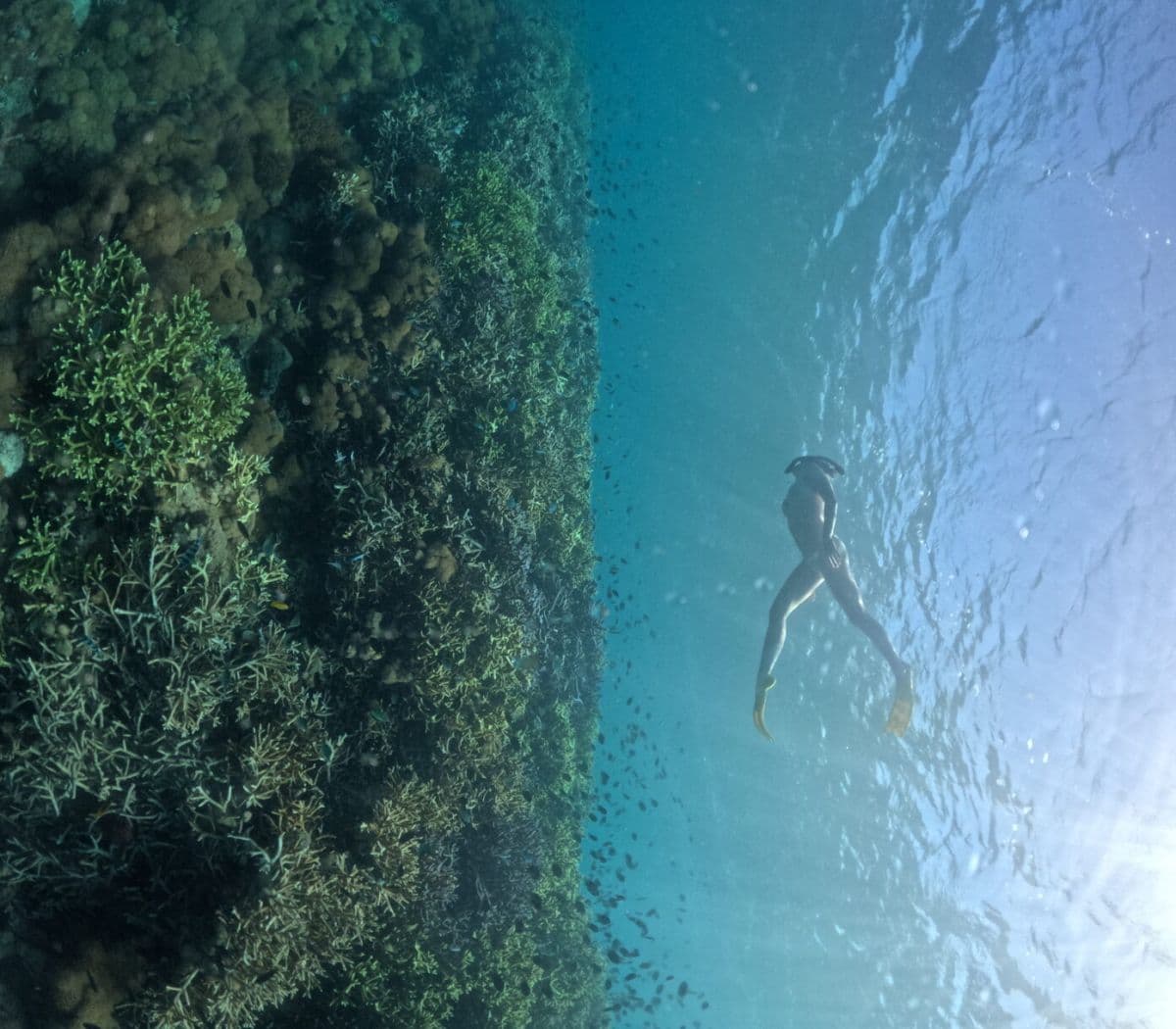 The Hidden Gili North East Lombok Private Snorkeling