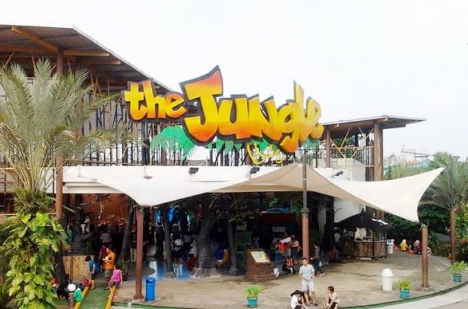 The Jungle Water Adventure