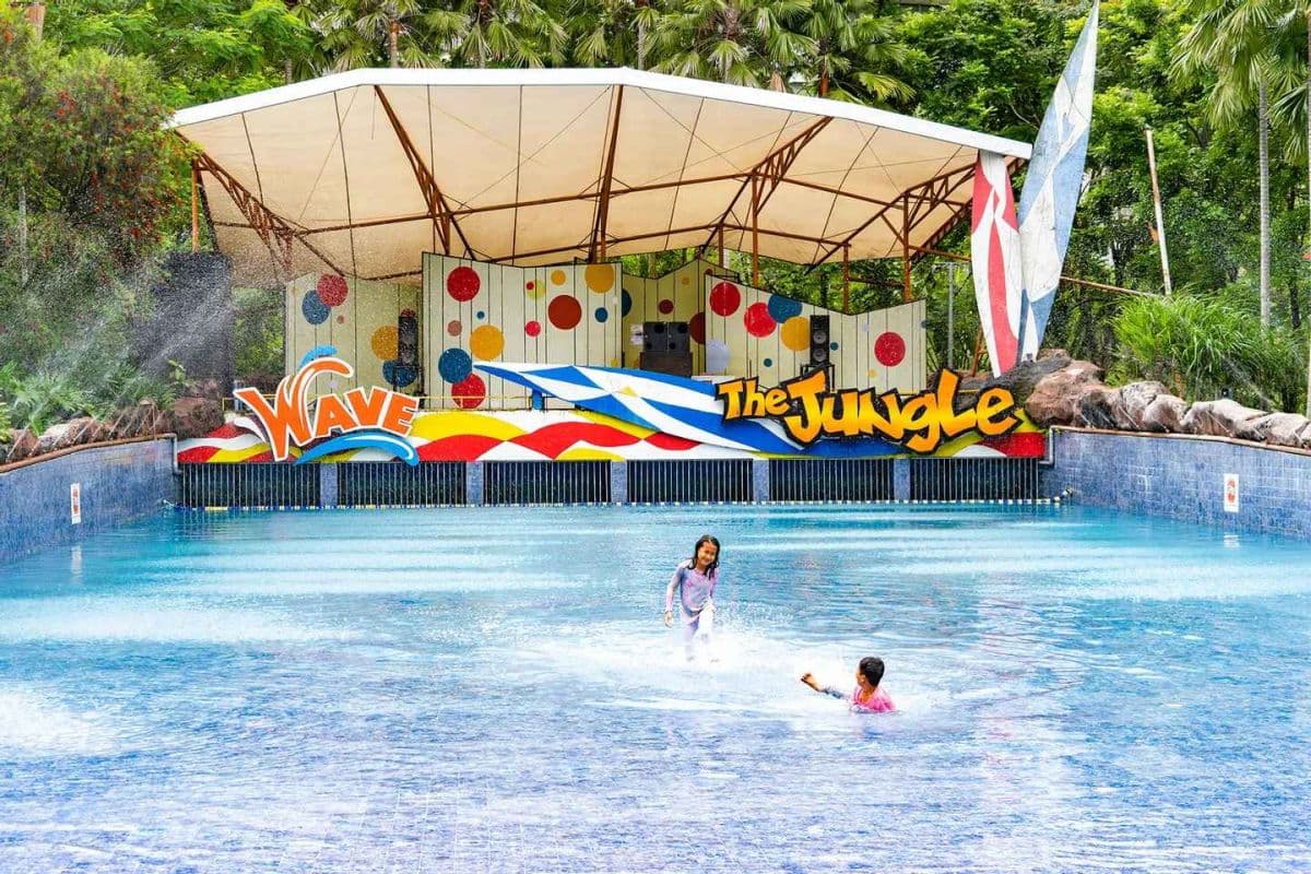 The Jungle Water Adventure