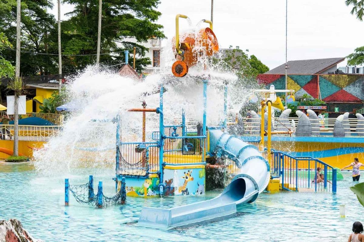 The Jungle Water Adventure