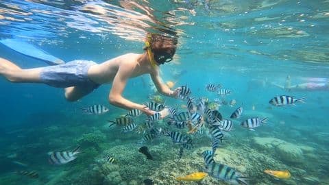 The Secret Gili Private Snorkeling Gili Nanggu, Gili Sudak & Gili Kedis