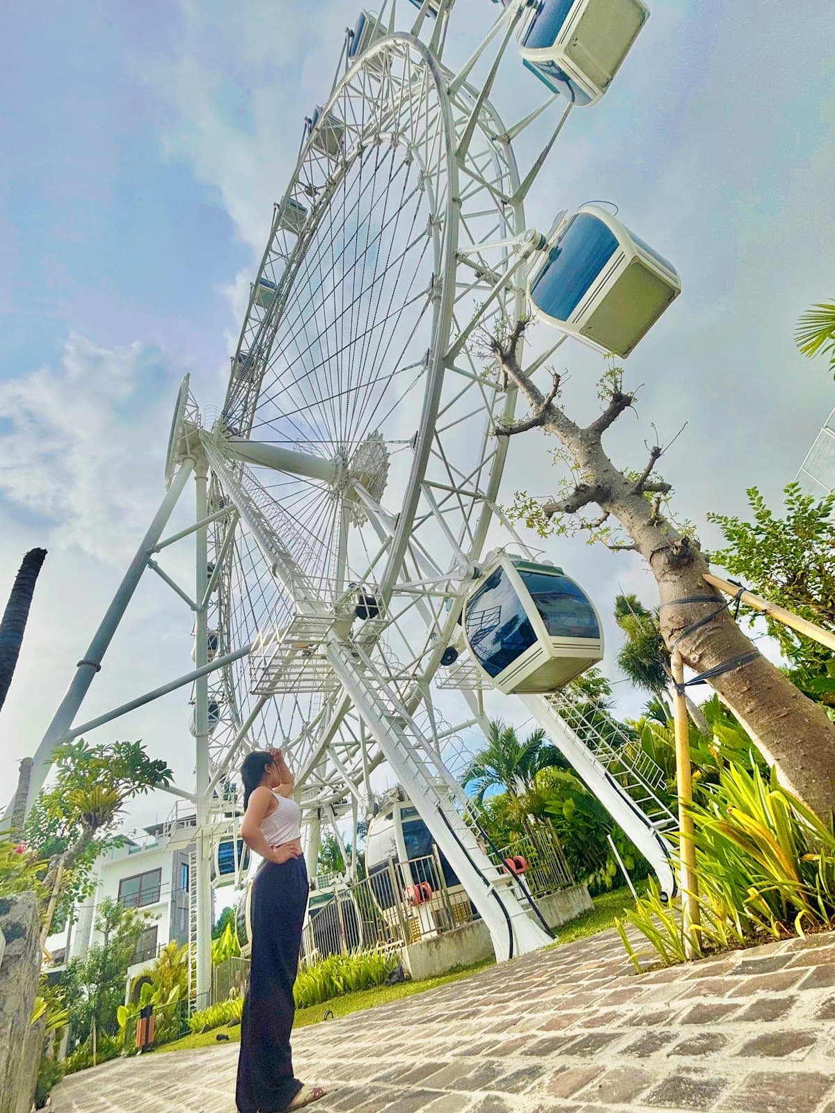 The Wheel Bali