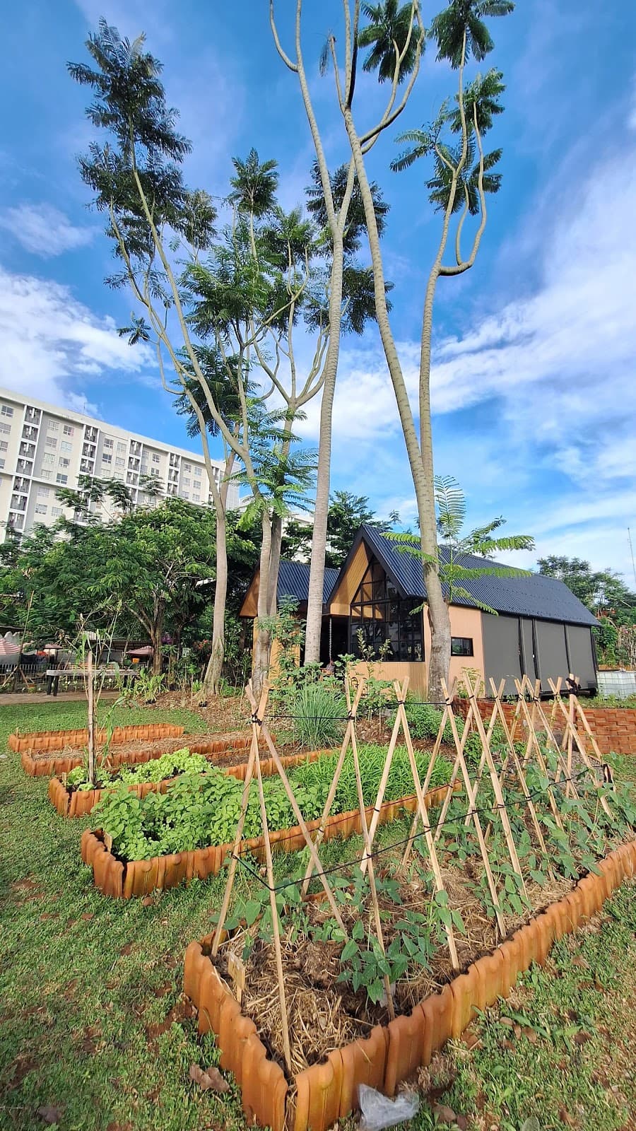 Tour Kebun Kumara by Campa