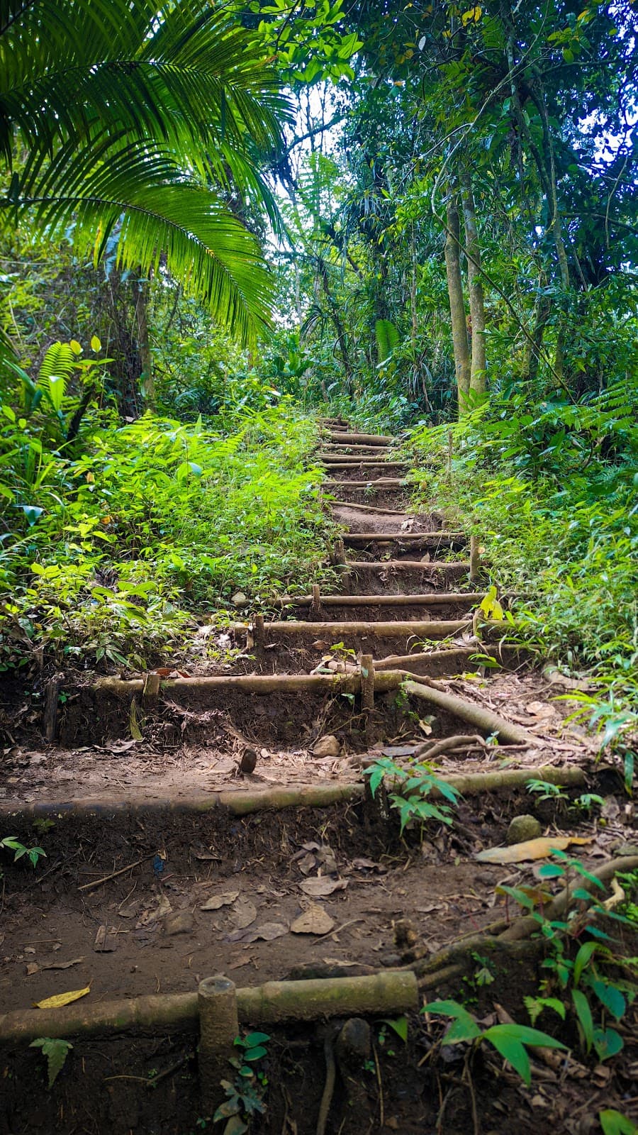 Trekking Curug Kembar Batulayang  By Campa