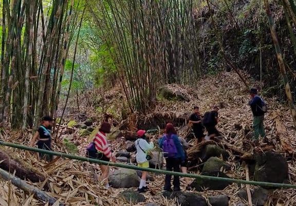 Trekking Merapi