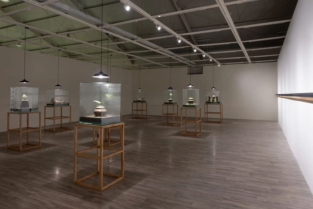 Tumurun Museum Tickets