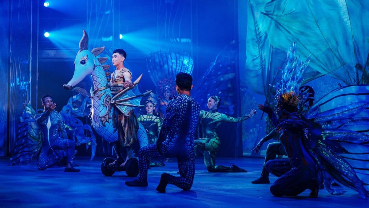 Varuna Underwater Show Package at Taman Safari Bali