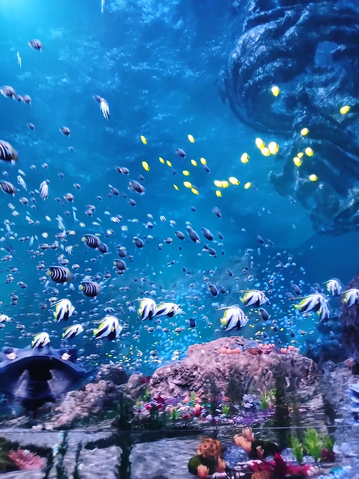 Virtual Immersive Park (Jatim Park)
