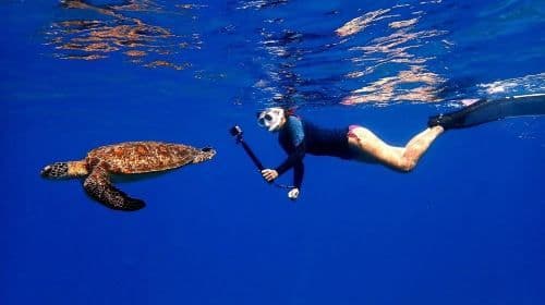 Liuqiu Island Scuba Diving and Snorkeling Experience in Pingtung for 1 hour