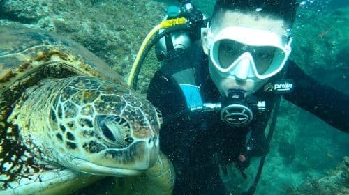 Liuqiu Island Scuba Diving and Snorkeling Experience in Pingtung for 1 hour