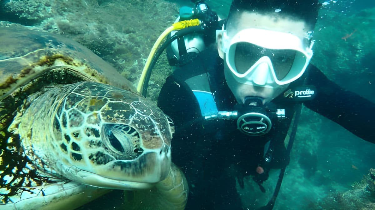 Expérience de plongée sous-marine et de snorkeling à Liuqiu Island à Pingtung pendant 1 heure