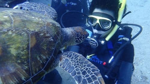 Liuqiu Island Scuba Diving and Snorkeling Experience in Pingtung for 1 hour