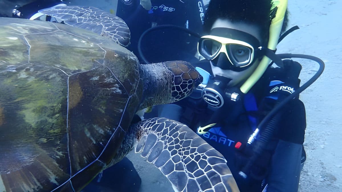 Expérience de plongée sous-marine et de snorkeling à Liuqiu Island à Pingtung pendant 1 heure