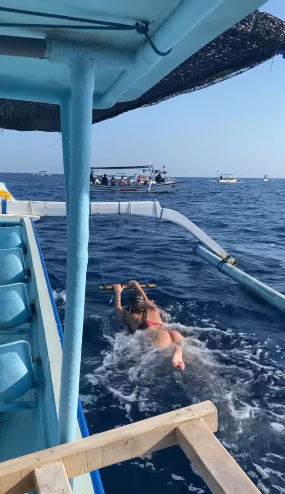 Watching Dolphin, Swimming & Snorkeling Tour