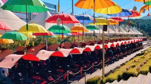 Gyeonggi Province|1-daagse tour naar Gangchon Rail Park + Alpaca World dagtochten