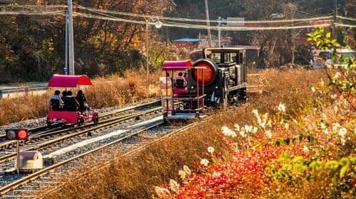 Provincia di Gyeonggi | Tour giornaliero di Gangchon Rail Park X Petite France & Italian Village X Nami Island