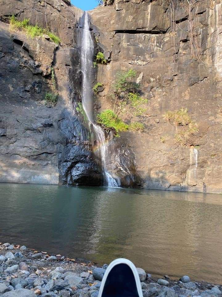 [TICKET] PICNIC LUNCH