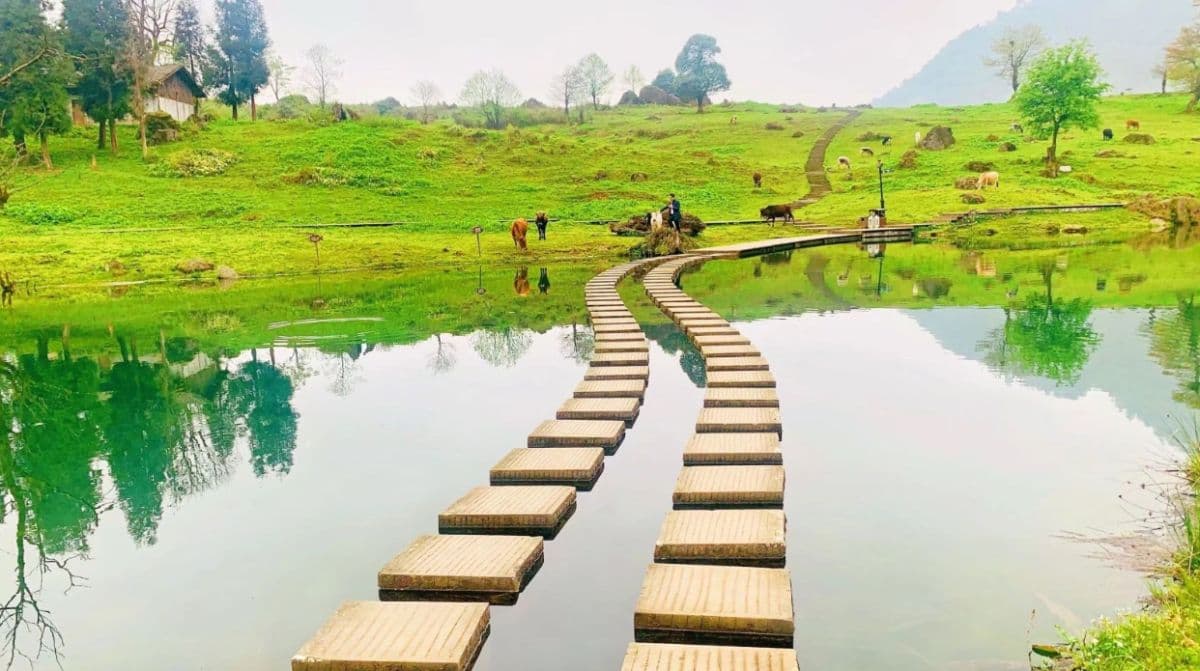 Heizhugou Scenic Area Ticket