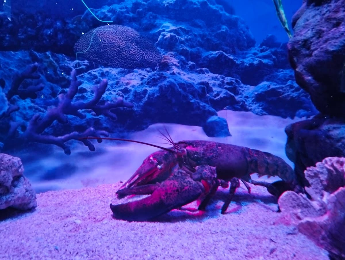 Aquaria KLCC