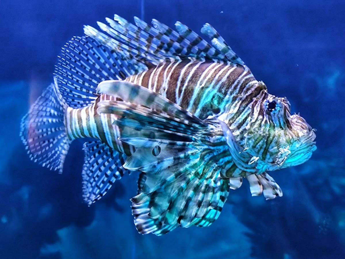 Aquaria KLCC