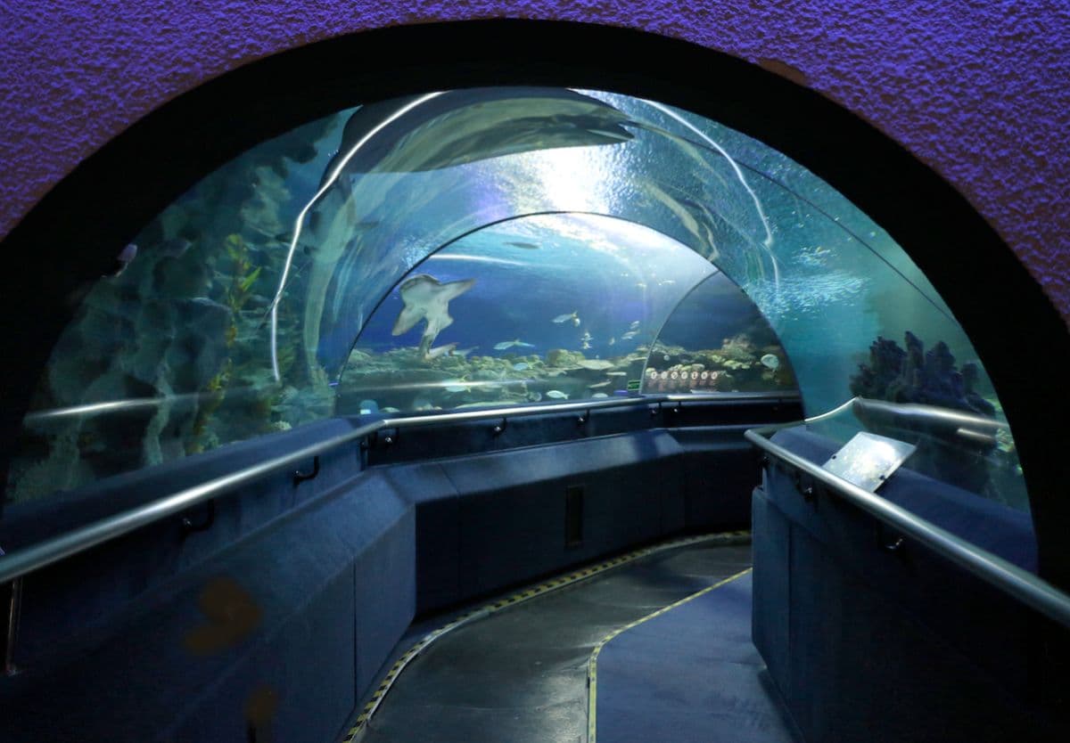 Aquaria KLCC