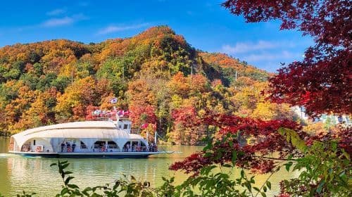 Gyeonggi Province|Nami Island X Gangchon Rail Bike X Morning Calm Arboretum Day Tours