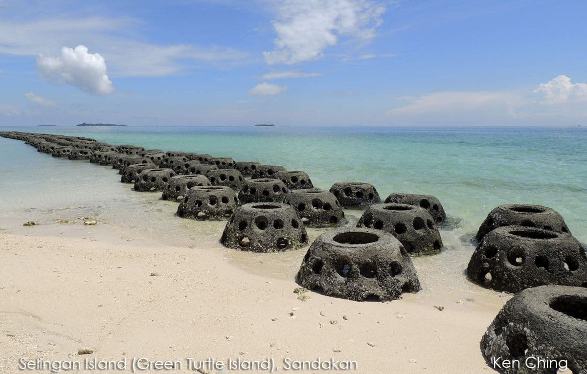 2 giorni 1 notte a Selingan Turtle Island con osservazione delle tartarughe da Sandakan