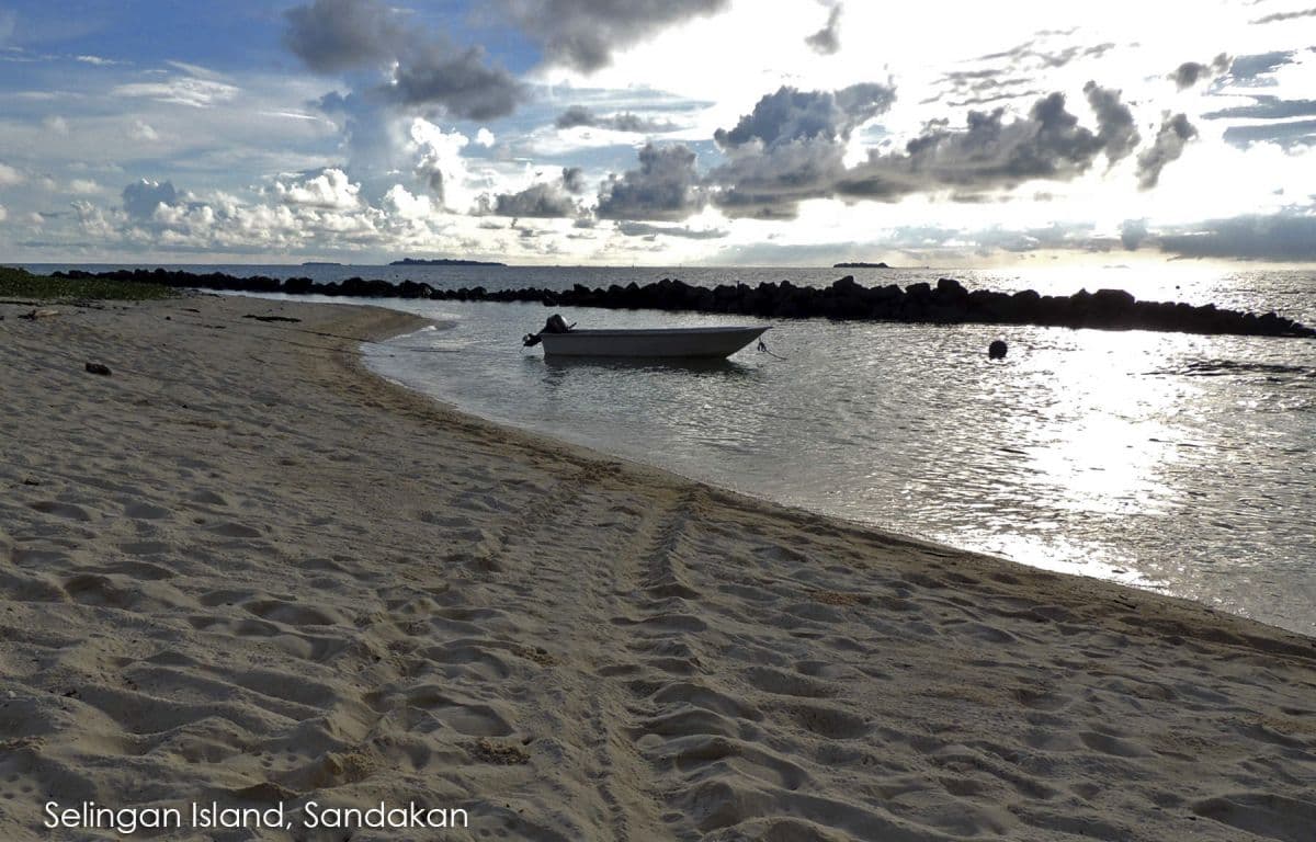 2 giorni 1 notte a Selingan Turtle Island con osservazione delle tartarughe da Sandakan