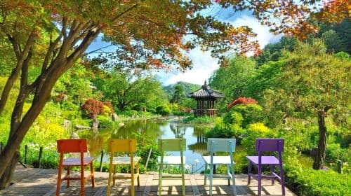 Gyeonggi Province|Nami Island x Petite France x Italian Village x The Garden of Morning Calm Day Tours