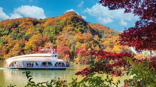 Gyeonggi-do, Südkorea|Gapyeong Begonia Bird Garden X Nami Island Tagestouren