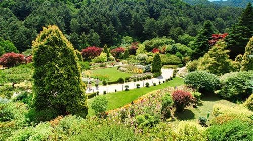 Gyeonggi-do, Zuid-Korea|Dagtochten naar Gapyeong Begonia Bird Garden X Nami Island