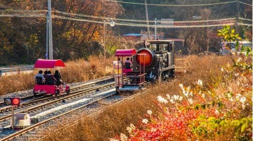 Gyeonggi-do, South Korea|Gapyeong Begonia Bird Park X Rail Bike X Garden of Morning Calm Day Tours