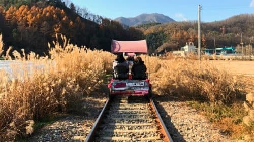 Gyeonggi-do|Wycieczka jednodniowa: Alpaca World, Nami Island i Gangcheon Rail Bike