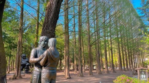 Gyeonggi-do|Excursões de um dia ao Alpaca World x Nami Island x Garden of Morning Calm