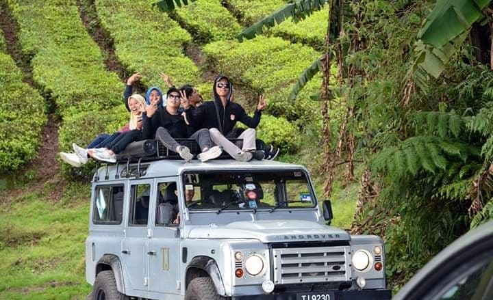 Cameron Highlands and Mossy Forest Half Day Tour