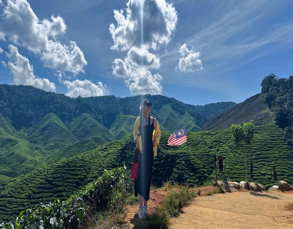 Cameron Highlands Day Tour from Kuala Lumpur with Lunch (Guided Tour)