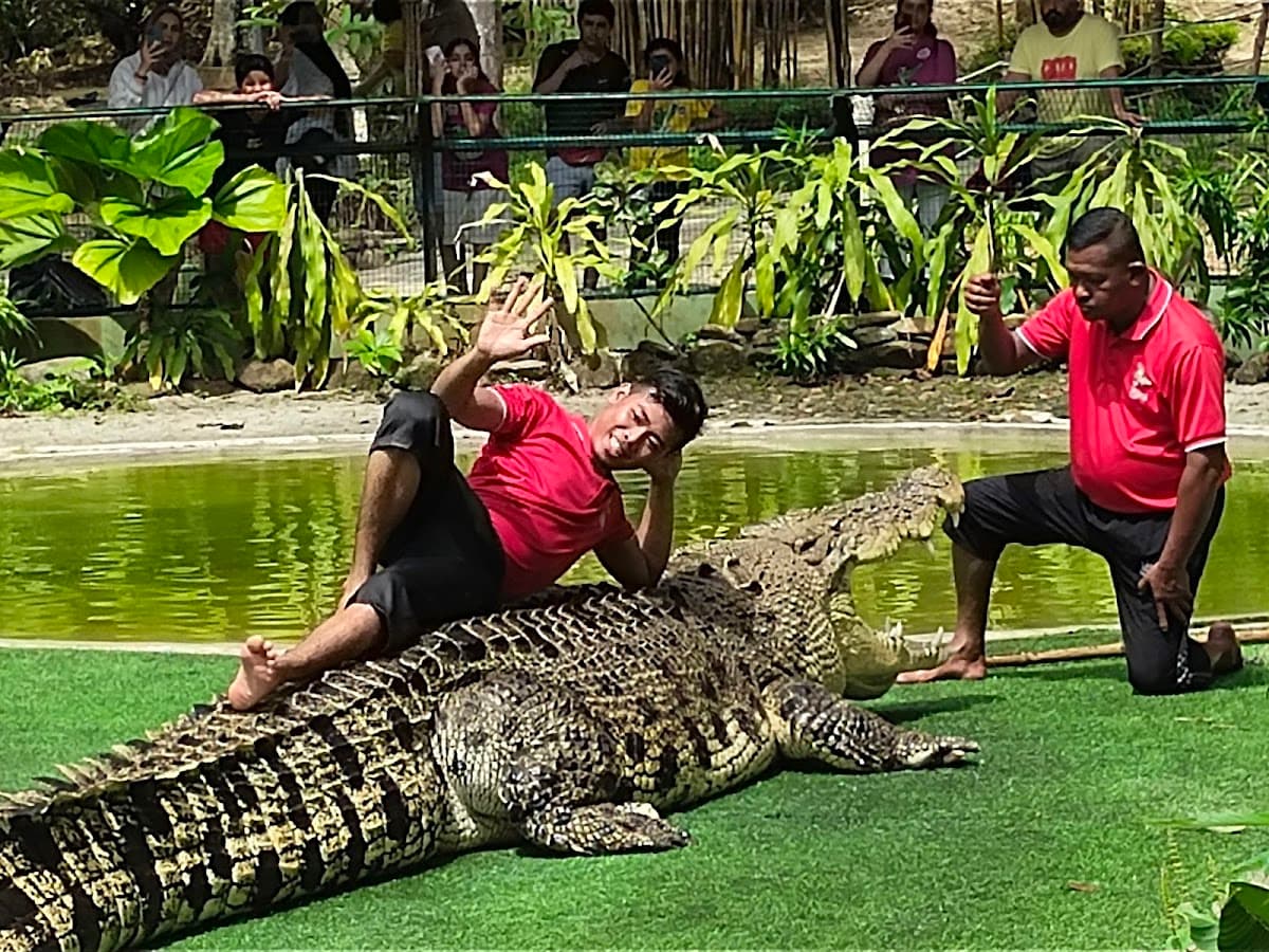 Crocodile Adventureland Langkawi