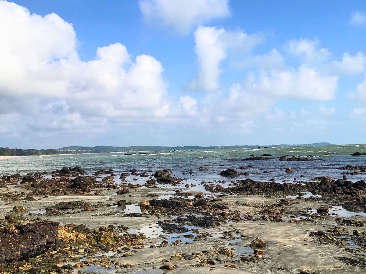 Desaru Beach and Tide Pool Discovery Walking Tour