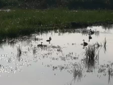 Desaru Coast Cycling Tour