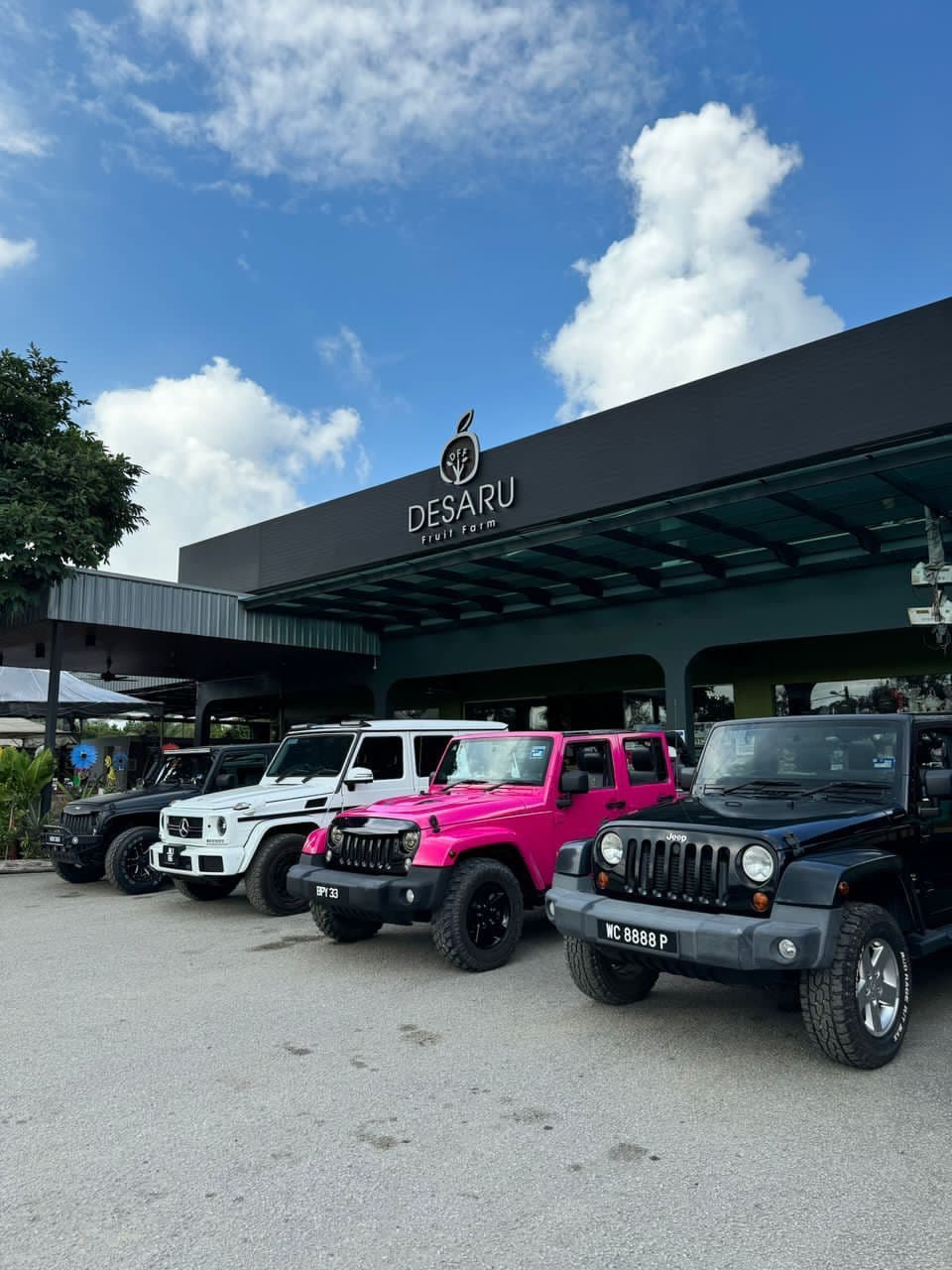 Desaru Fruit Farm - Tour in G Wagon